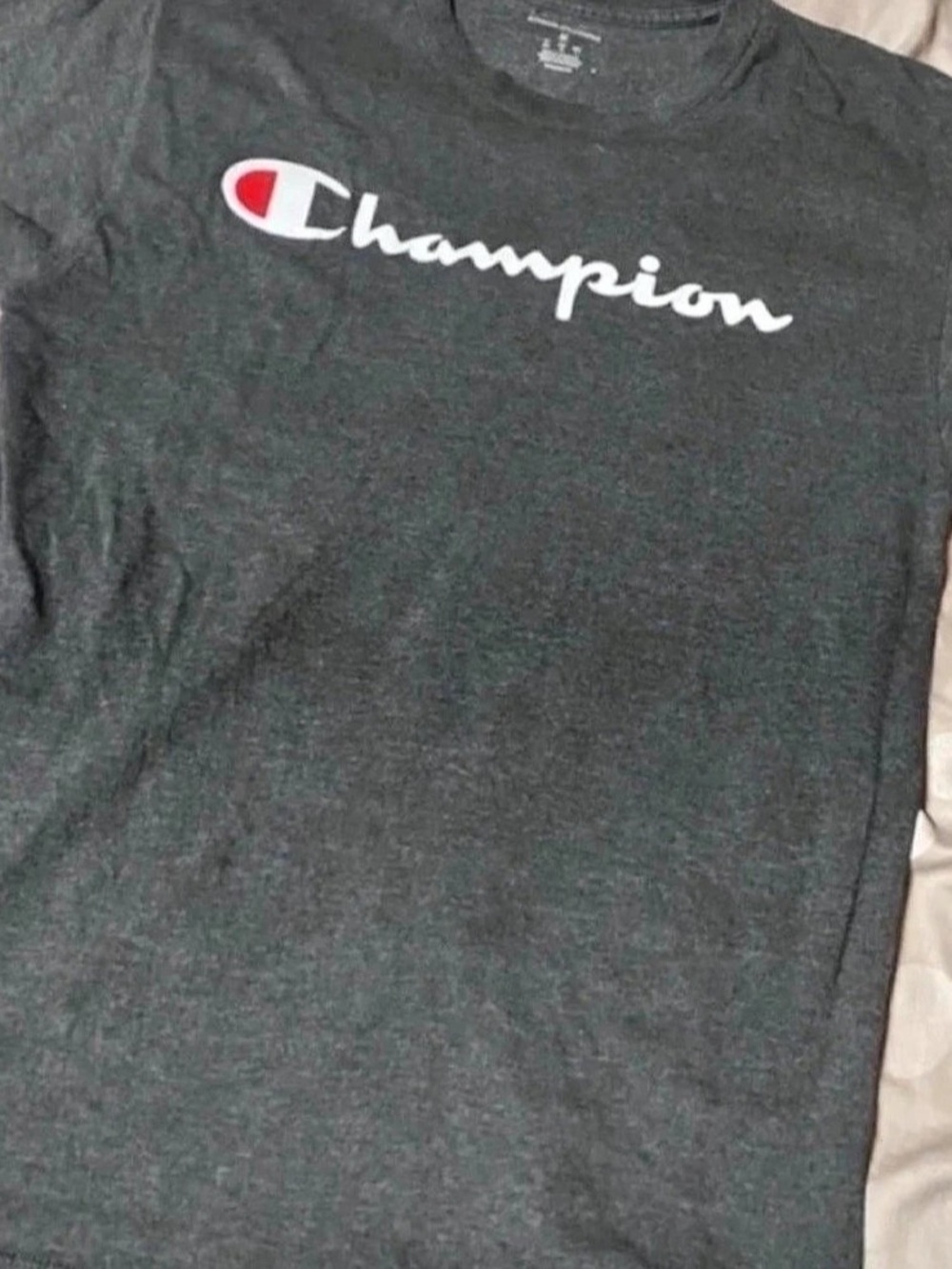 Champion Authentic Athleticwear Script Logo T-Shirt Gray Medium